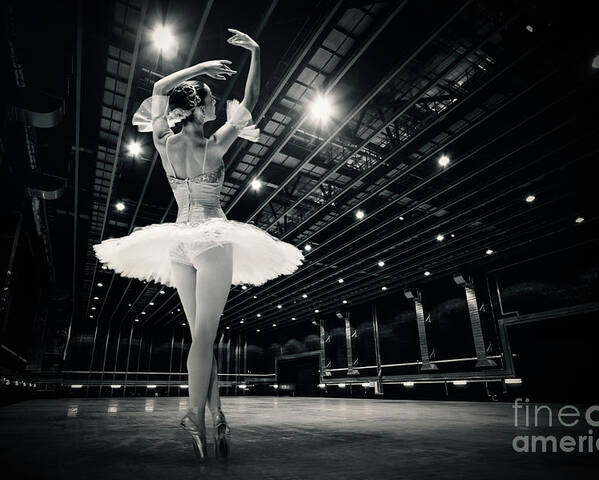 Ballet Poster featuring the photograph A beautiful ballerina dancing in studio by Dimitar Hristov