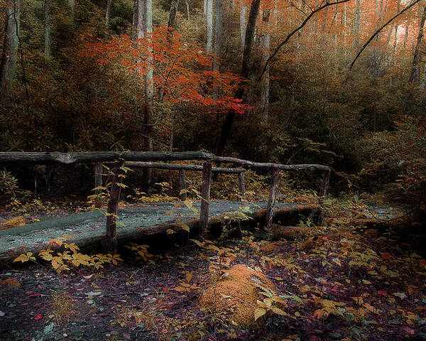 Nature Trail Bridge Poster featuring the photograph A Day Hiking by Mike Eingle