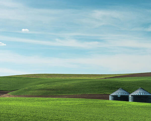 Agriculture Poster featuring the photograph A pastoral scene from Palouse. by Usha Peddamatham