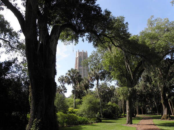 Bok Tower Poster featuring the photograph A Path To The Tower by Kim Galluzzo Wozniak