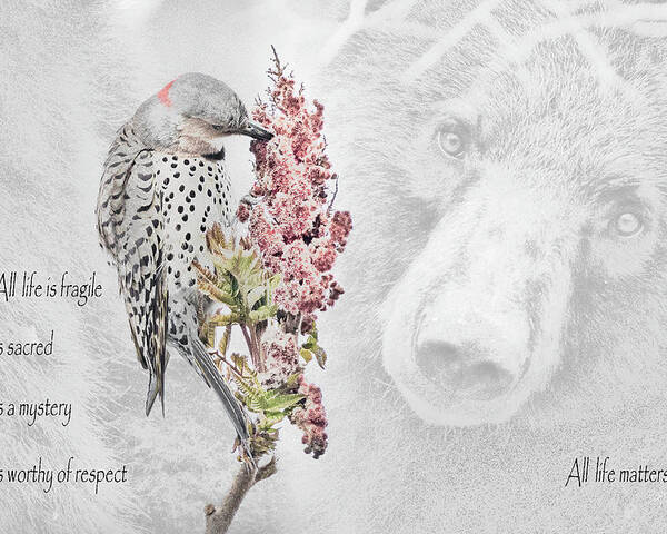 Wildlife Poster featuring the photograph All Life Matters by Everet Regal