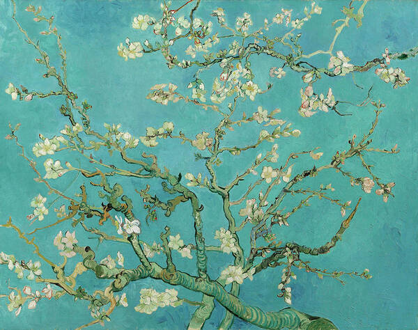 Almond Blossom Kunstdruck 91,5x61cm Vincent Van Gogh Poster Mandelblüten 1890 