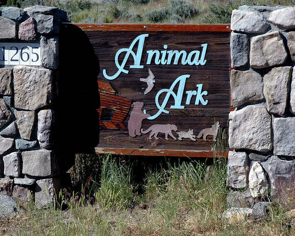 Animal Ark Sign Reno Nevada Poster by LeeAnn McLaneGoetz  McLaneGoetzStudioLLCcom - Fine Art America