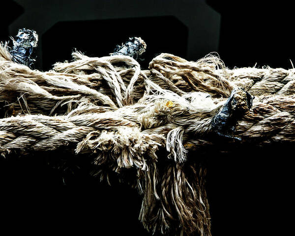 Rope Poster featuring the photograph Another Piece of Rope by Adriana Zoon