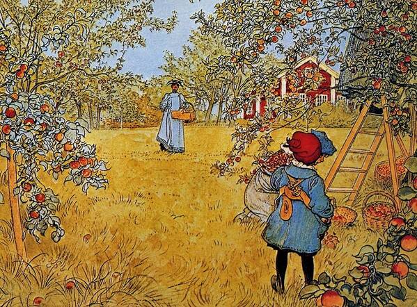 Carl Larsson Apple Orchard Poster featuring the painting Apple by MotionAge Designs