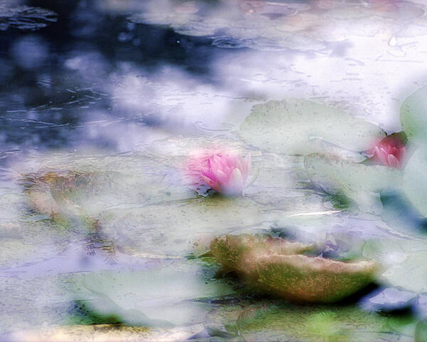Impressionism Poster featuring the photograph At Claude Monet's Water Garden 12 by Dubi Roman