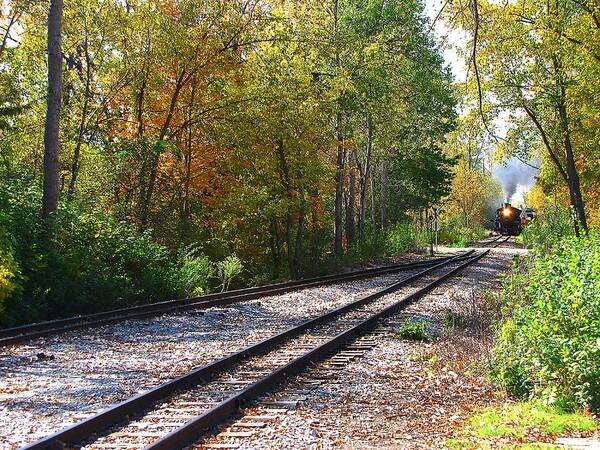 Hovind Poster featuring the photograph Autumn Train by Scott Hovind