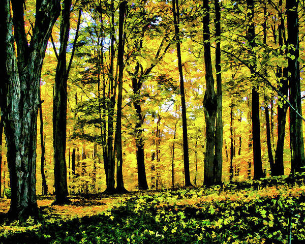 Autumn Poster featuring the photograph Autumn's Glow by Monroe Payne