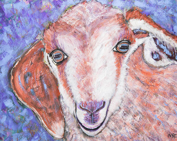 Goat Poster featuring the photograph Baby Goat by Natalie Rotman Cote