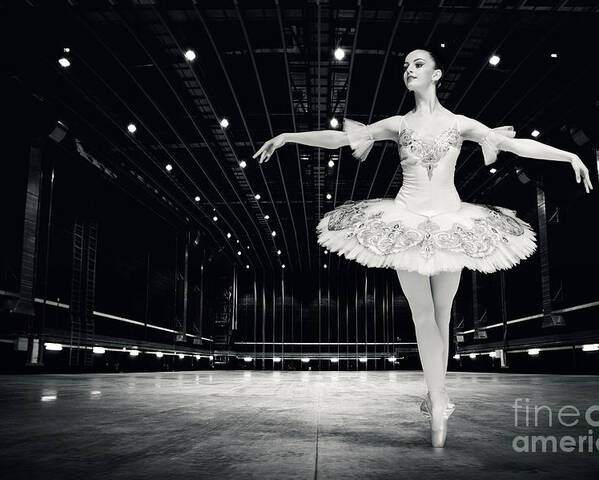 Ballet Poster featuring the photograph Ballerina by Dimitar Hristov