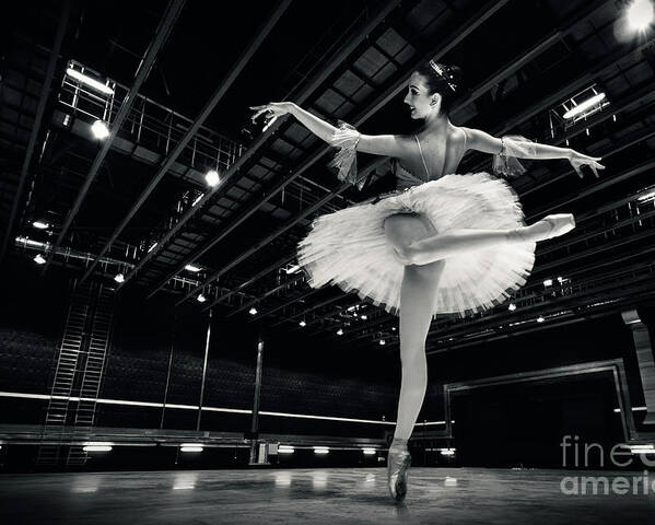 Ballet Poster featuring the photograph Ballerina in the white tutu by Dimitar Hristov