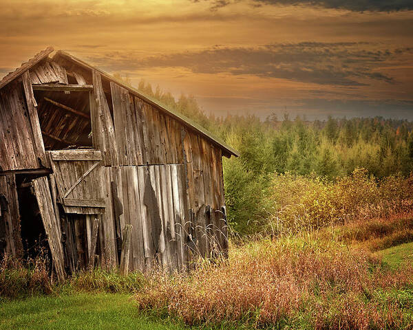 Old Barn Print Poster featuring the photograph Barn at Sunset Print by Gwen Gibson