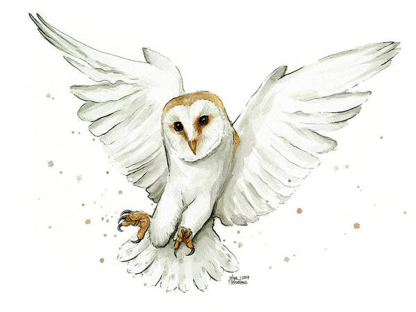 Owl Poster featuring the painting Barn Owl Flying Watercolor by Olga Shvartsur