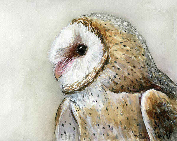 Owl Poster featuring the painting Barn Owl Watercolor by Olga Shvartsur