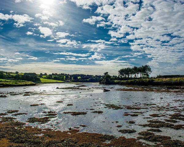 Ireland Poster featuring the photograph Bay at Low Tide in Clonakilty in Ireland by Andreas Berthold