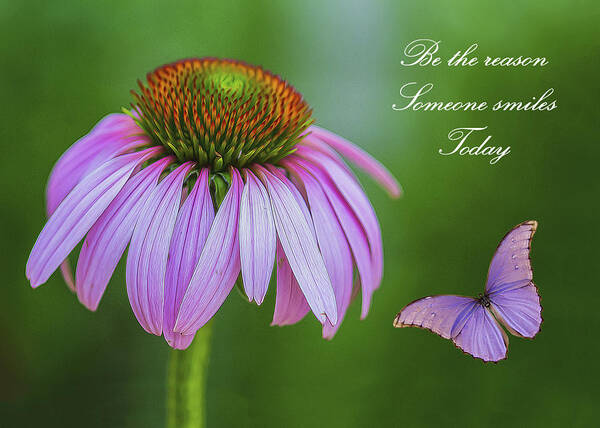 Cone Flower Poster featuring the photograph Be The Reason by Cathy Kovarik