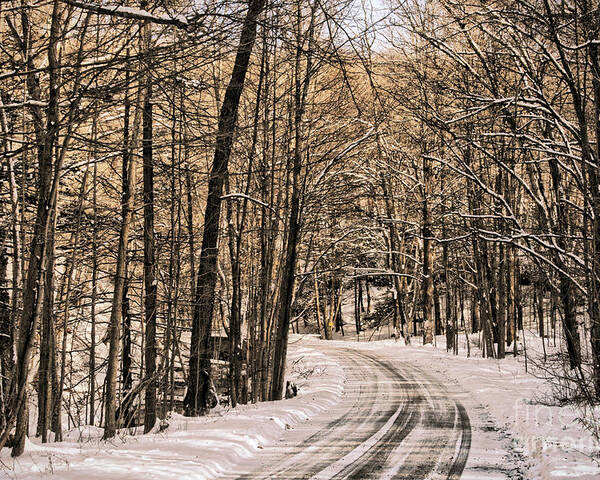 Winter Poster featuring the photograph Bend in the Road by Onedayoneimage Photography