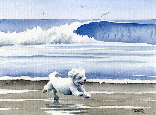 Bichon Poster featuring the painting Bichon Frise At The Beach by David Rogers