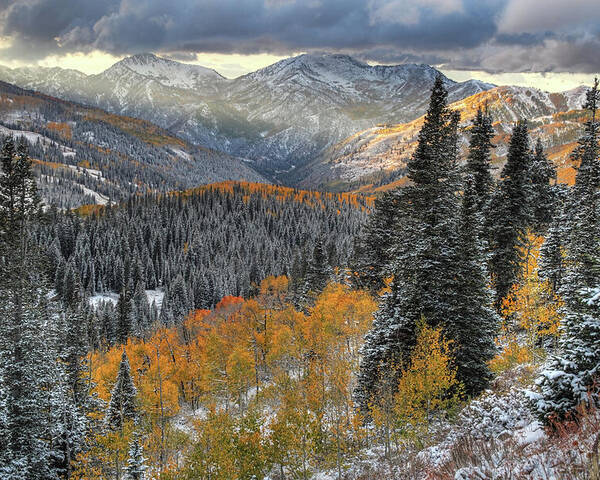 Utah Poster featuring the photograph Big Cottonwood Canyon Early Snow and Fall Color by Brett Pelletier