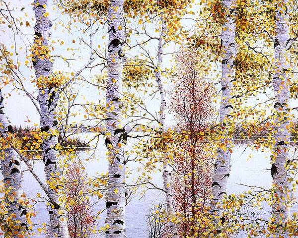 Birch-trees Poster featuring the painting Birch-Trees at lake of Bays by Conrad Mieschke
