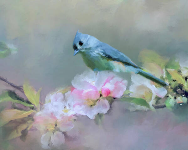Bird Poster featuring the photograph Bird and Blossoms by Cathy Kovarik