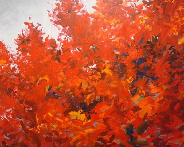 Leaves Poster featuring the painting Blaze Maple by Rich Houck