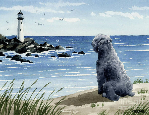 Bouvier Des Flandres Poster featuring the painting Bouvier Des Flandres at the Beach by David Rogers