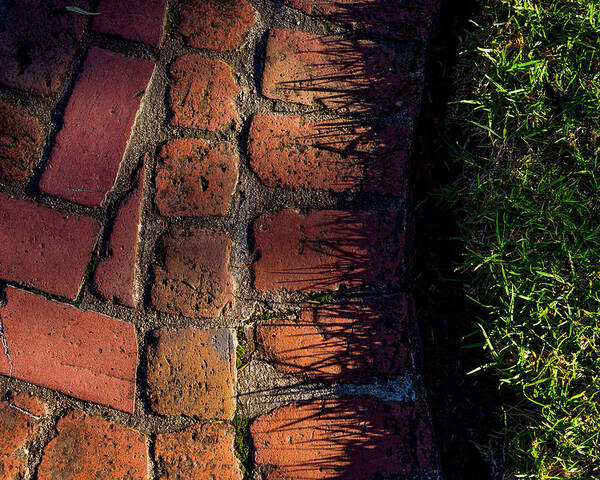 Bricks Poster featuring the photograph Brick Path in Afternoon Light by Derek Dean