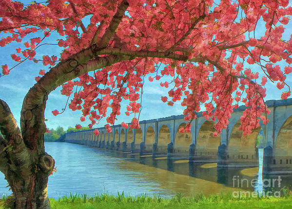 Riverfront Park Poster featuring the photograph Beautiful Blossoms by Geoff Crego