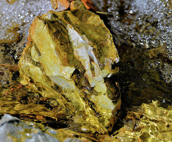 Rock Poster featuring the photograph Bright Rock in Stream by Kae Cheatham