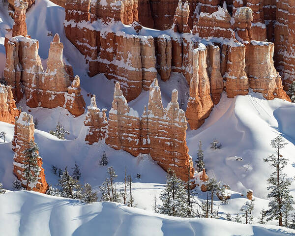 No People Poster featuring the photograph Bryce Canyon National Park by Brett Pelletier