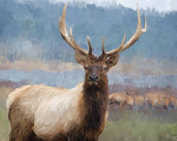Animal Poster featuring the digital art Bull elk by the river by Debra Baldwin
