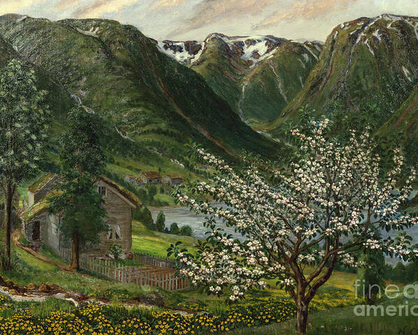 Nature Poster featuring the painting Buttercups and apple trees by O Vaering