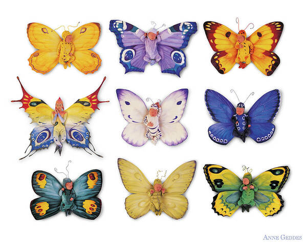 Butterfly Poster featuring the photograph Butterfly Babies by Anne Geddes