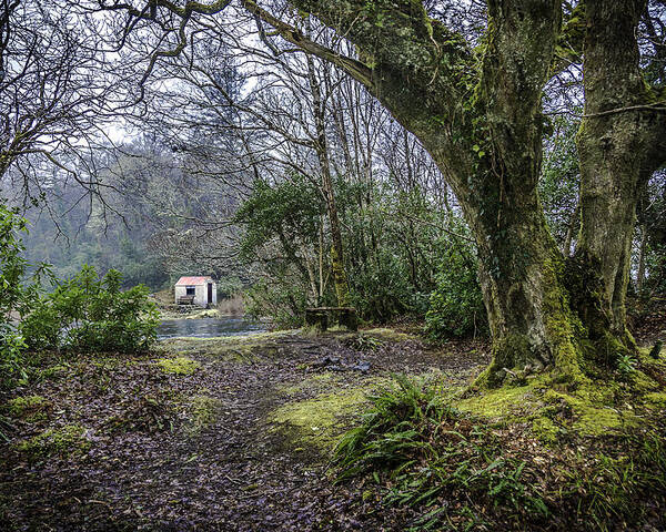 Ireland Poster featuring the photograph Cabin in the Woods by WAZgriffin Digital