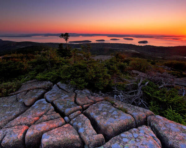 Acadia Poster featuring the photograph Cadillac Rock by Neil Shapiro