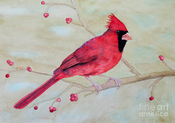 Cardinal Poster featuring the painting Cardinal II by Laurel Best