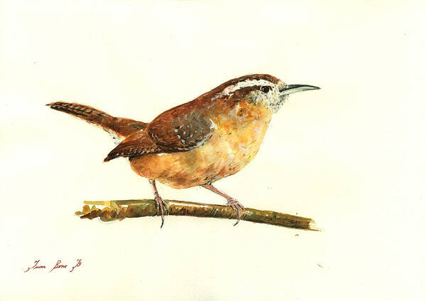 Wren Poster featuring the painting Carolina Wren watercolor painting by Juan Bosco