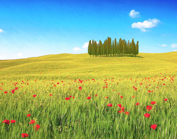 Cedar Grove Poster featuring the painting Cedar Grove and Poppies by Dominic Piperata