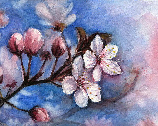 Spring Poster featuring the painting Cherry Blossoms by Olga Shvartsur