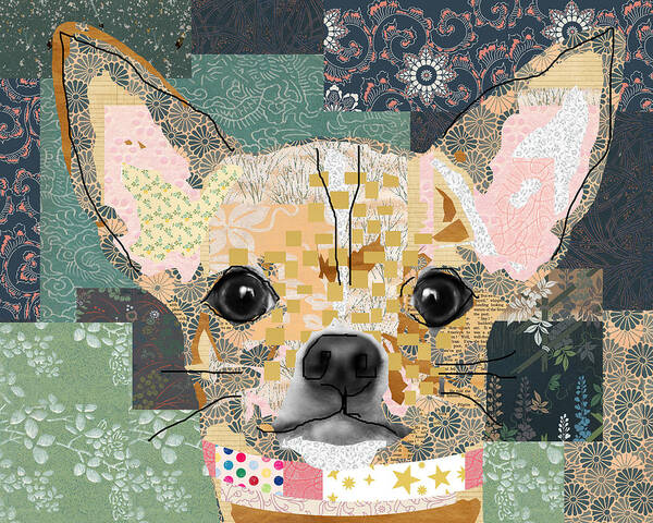 Chihuahua Poster featuring the mixed media Chihuahua Collage by Claudia Schoen
