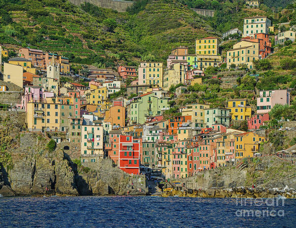 Cinque Terre Poster featuring the photograph Cinque Terre, Italy by Maria Rabinky