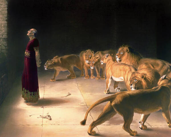 Painting Poster featuring the painting Daniel's Answer To The King by Mountain Dreams