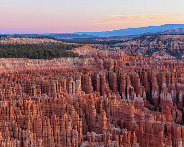 Bryce Canyon National Park Poster featuring the photograph Dawn At Bryce by Jonathan Nguyen