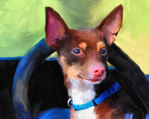 Rat Terrier Poster featuring the painting Driver's Seat by Jai Johnson