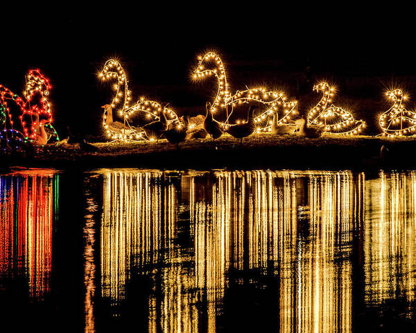 Christmas Poster featuring the photograph Duck Pond Christmas by Joe Shrader