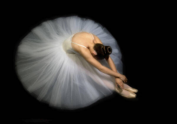 Ballerina Poster featuring the photograph Elegance by Pauline Pentony Ba Hons Arps