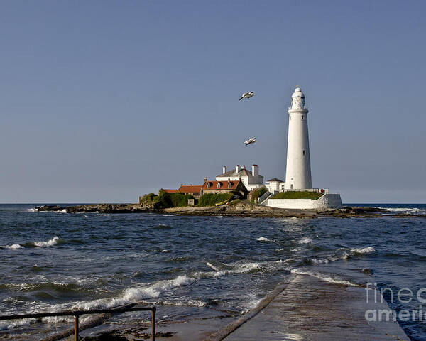 Lighthouse Poster featuring the photograph Evening at St. Mary's Lighthouse by Elena Perelman