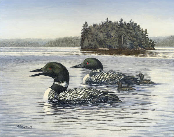 Common Loon Poster featuring the painting Family Outing by Richard De Wolfe