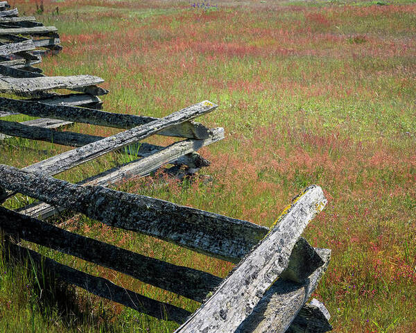 Oregon Coast Poster featuring the photograph Fence And Field by Tom Singleton